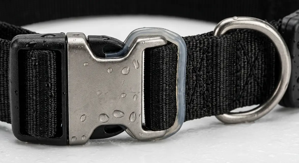 Close-up of durable LED collar hardware for night dog walking safety